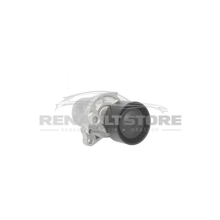 Renault alkatrészek, INA 534062410 hosszbordás szíj feszítő