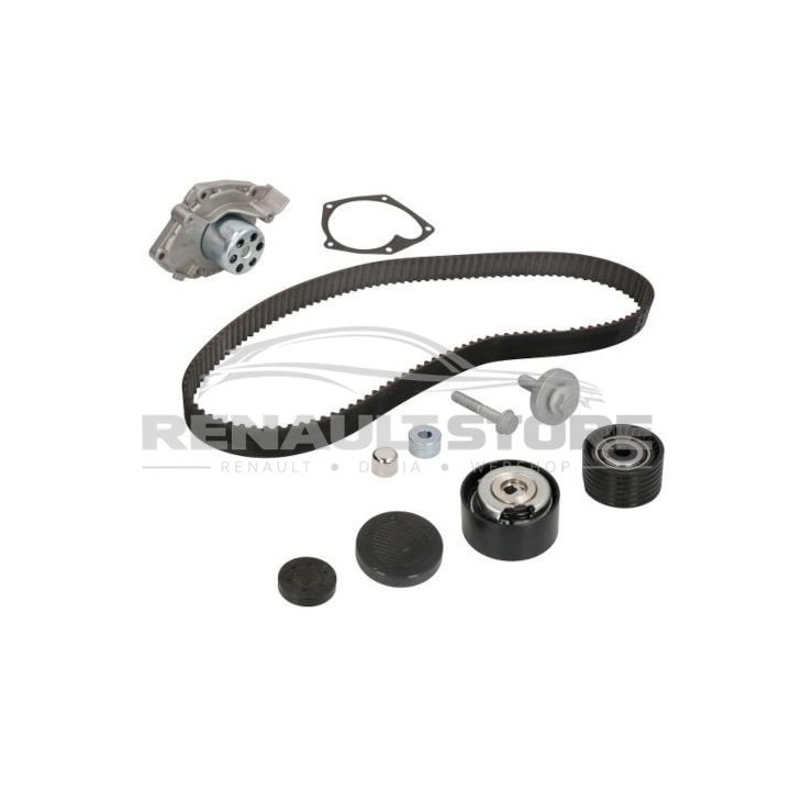 Renault alkatrészek, INA 530063830 vezérlés készlet vízpumpával 119A04462R