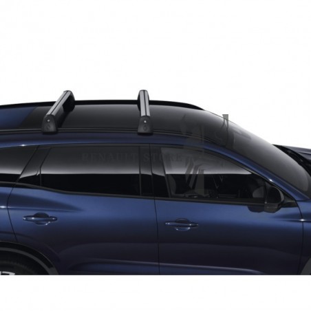 Renault gyári tetőcsomagtartó, Renault 738209606R tetőcsomagtartó