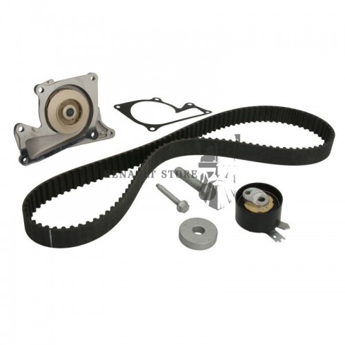 Renault alkatrészek, INA 530060730 vezérlés készlet vízpumpával